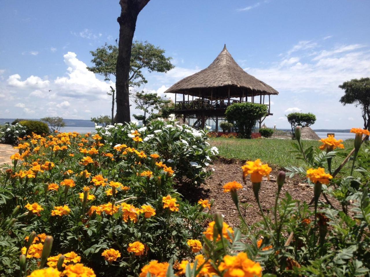 הוילה ג'ינג'ה Samuka Island Retreat מראה חיצוני תמונה