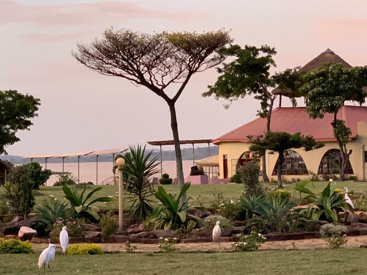 הוילה ג'ינג'ה Samuka Island Retreat מראה חיצוני תמונה